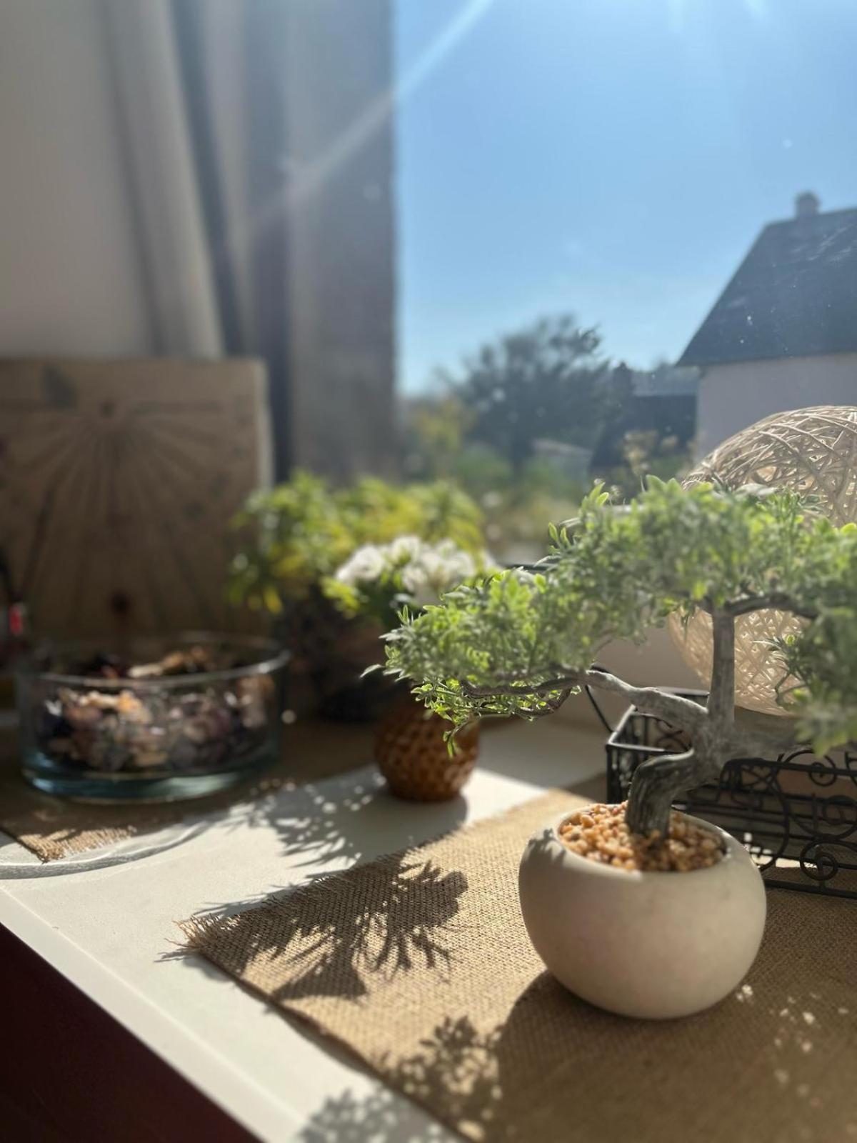 Le Gite De La Menuiserie Maisoncelles-la-Jourdan 외부 사진